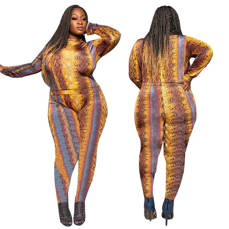 Plus Size Long Sleeve Printed 2-piece Set - main picture