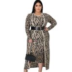 plus size two piece dress set - leopard print color
