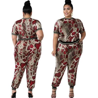 Plus Size Sets Outfits - main picture