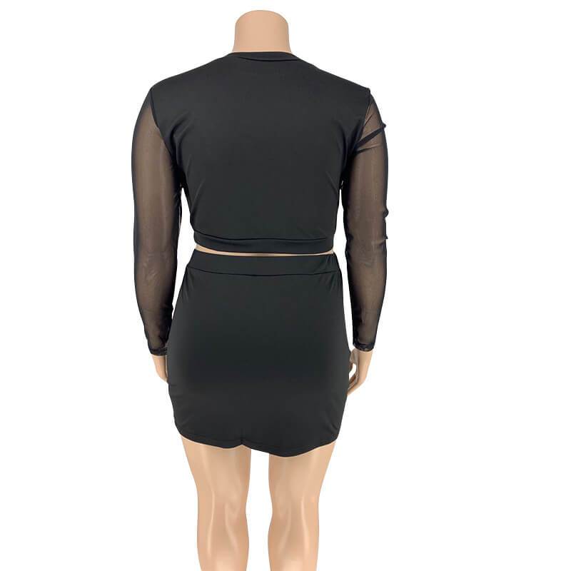 Plus Size Crop Top and Skirt Set - black behind