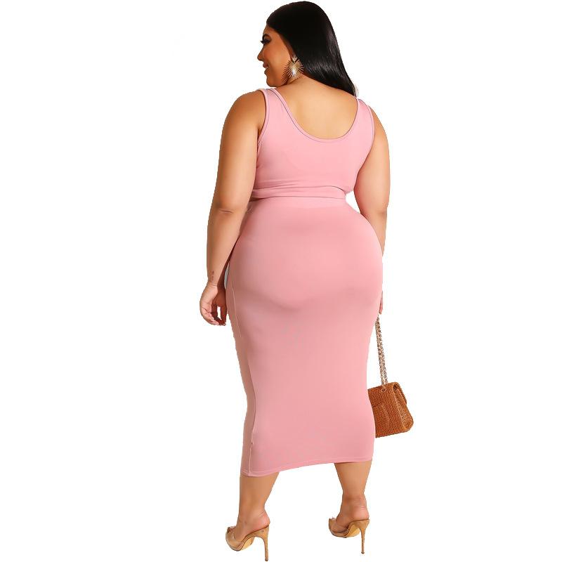 Plus Size Two Piece Dress - pink back