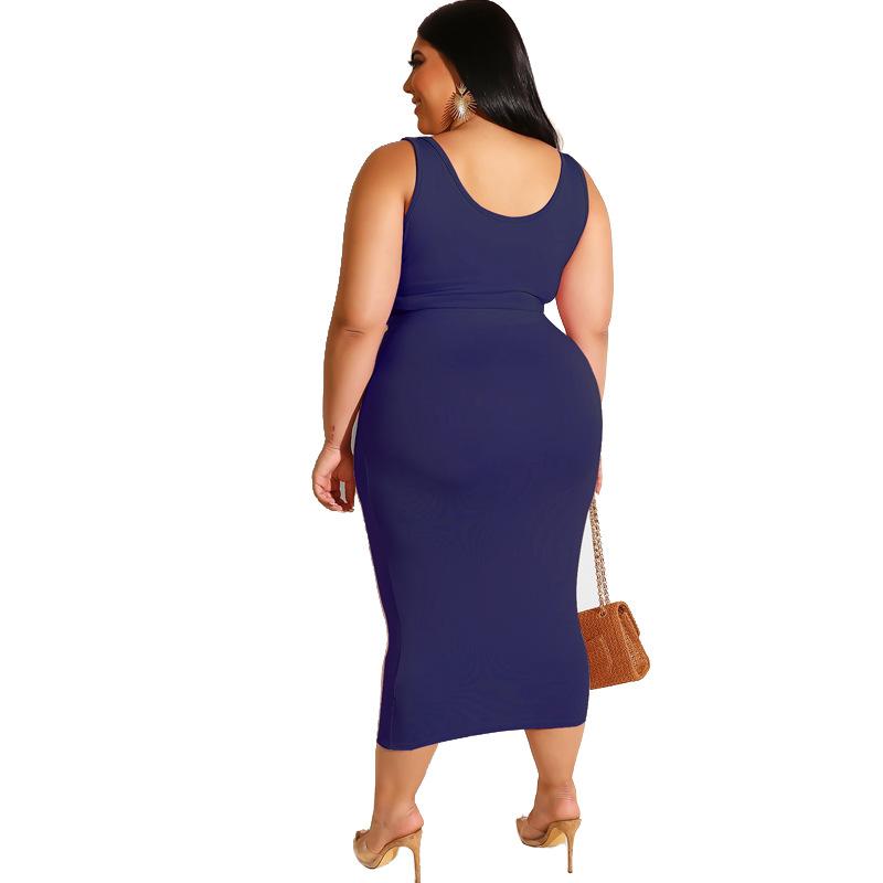 Plus Size Two Piece Dress - blue back