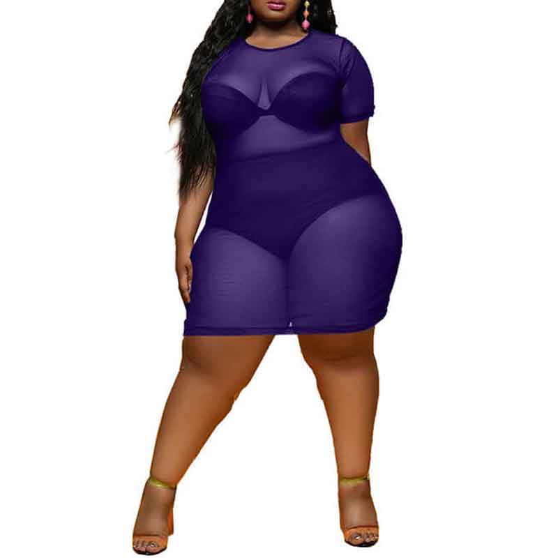 plus-size-sheer-dress-purple
