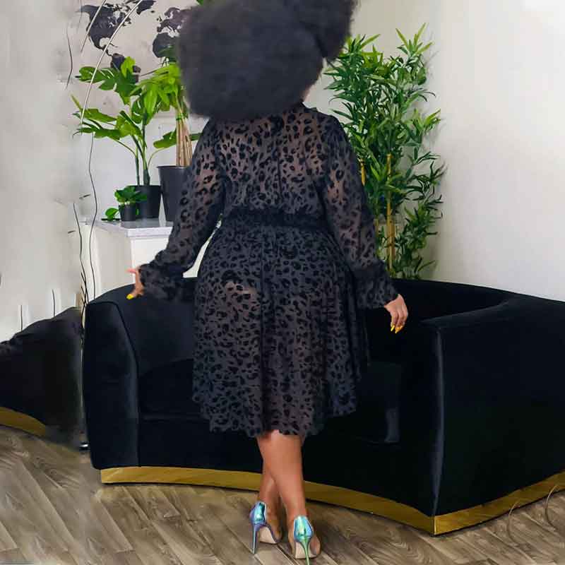 leopard print mesh dress-back view