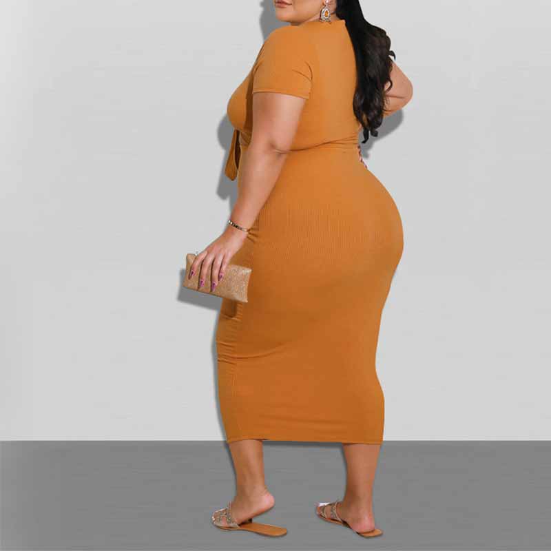 plus size crop top and high waist skirt set-turmeric-back view