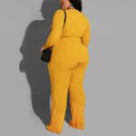 plus size 2 piece outfits-yellow-back view